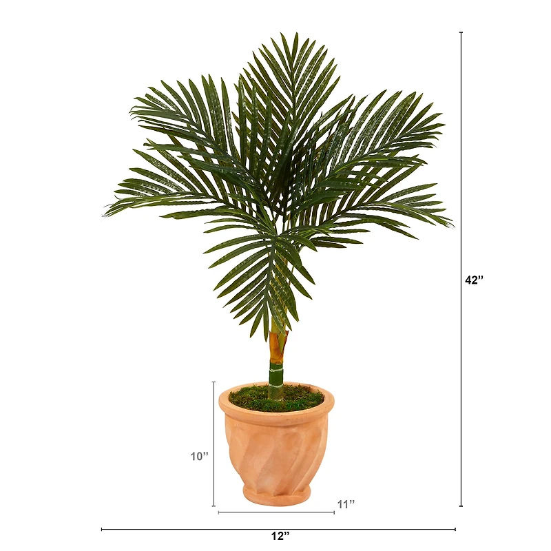 3.5ft. Golden Cane Palm Tree in Terra-Cotta Planter