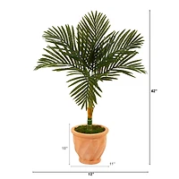 3.5ft. Golden Cane Palm Tree in Terra-Cotta Planter