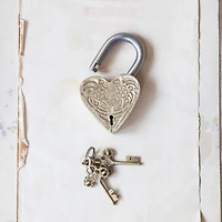 Hello Honey® Matte Finish Brass & Stainless Steel Heart-Shaped Lock with Flowers Set