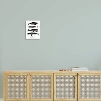 Stupell Industries Marine Wildlife Whales Drawings Diagram Wall Plaque Art