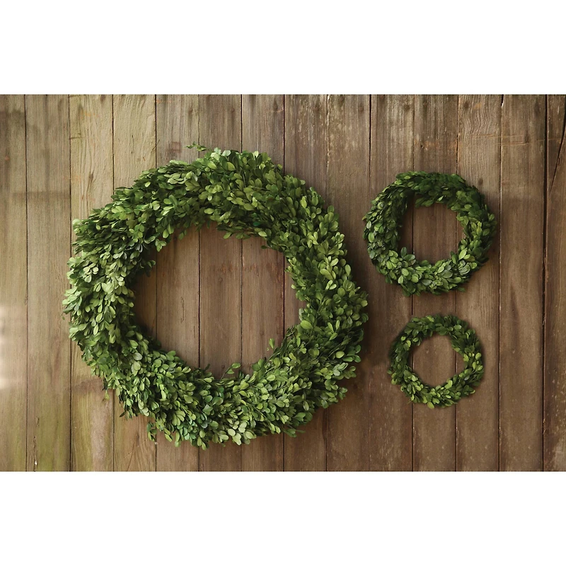 Hello Honey® Preserved Genuine Boxwood Wreath