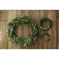 Hello Honey® Preserved Genuine Boxwood Wreath