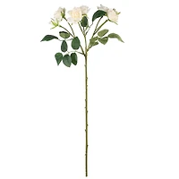 24.5" White Rose Stem by Ashland®