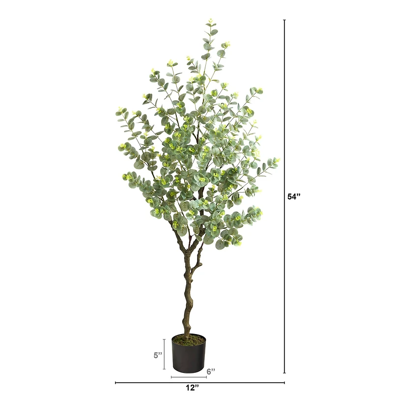 4.5ft. Potted Eucalyptus Tree
