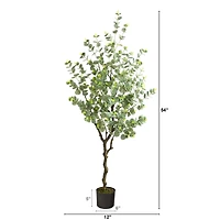 4.5ft. Potted Eucalyptus Tree