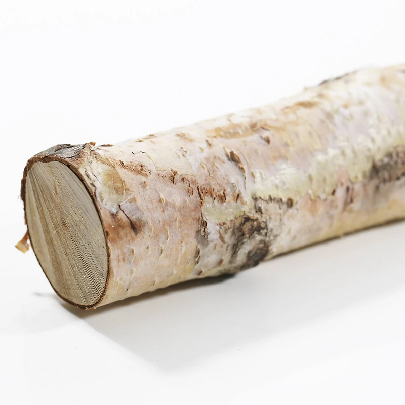 16" Birch Log by Ashland®