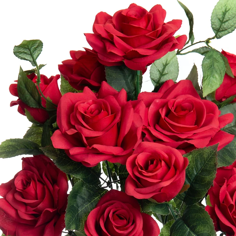 12 Pack: Rose Bush by Ashland