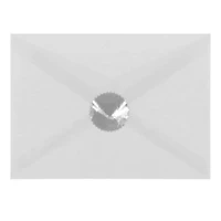 JAM Paper Silver Serrated Edge Circle Label Wafer Seals