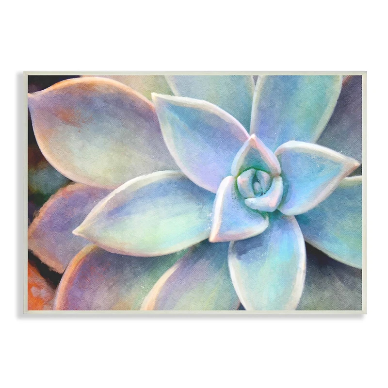 Stupell Industries Succulent Plant Vibrant Bloom Painting Wood Wall Plaque