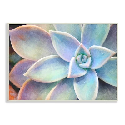 Stupell Industries Succulent Plant Vibrant Bloom Painting Wood Wall Plaque