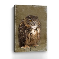 Grumpy Owl Canvas Giclee