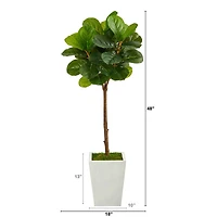 4ft. Fiddle Leaf Tree in White Metal Planter