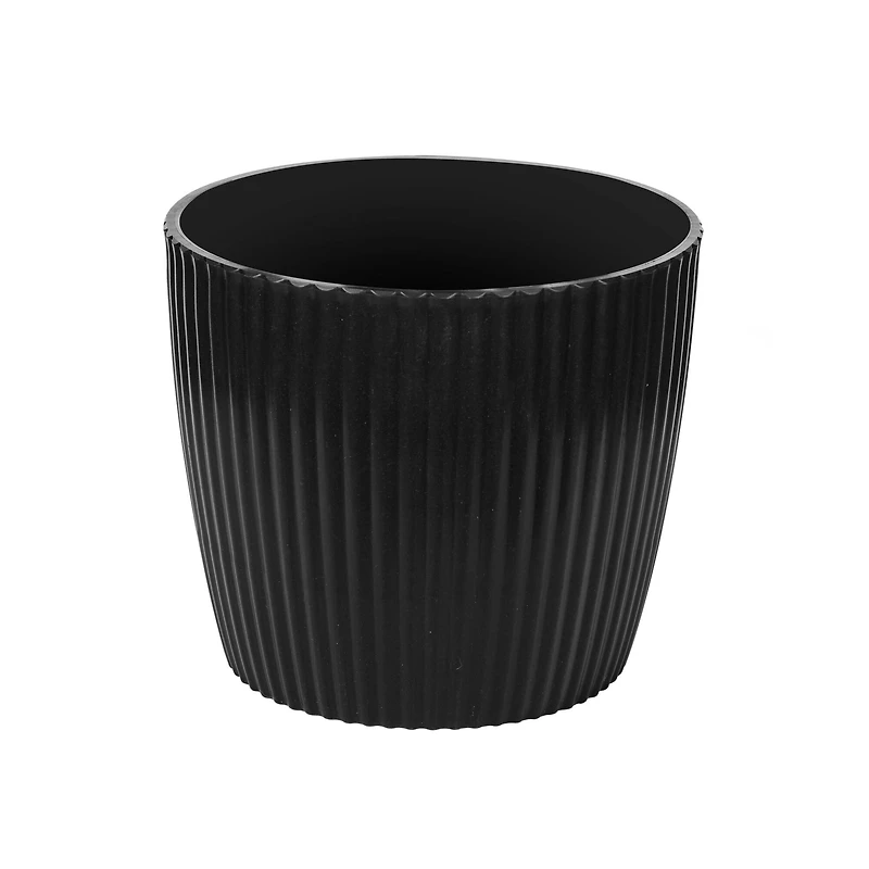 7ft. Potted Phoenix Palm Tree