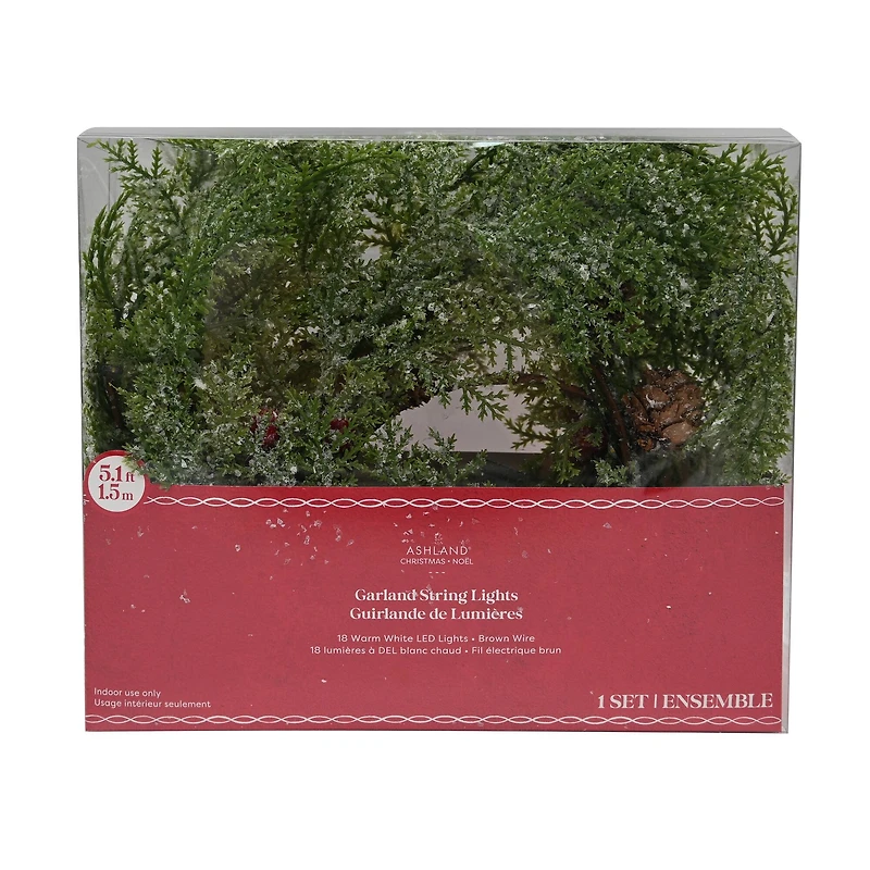 18ct. Warm White LED Pinecone & Red Berry Garland String Lights by Ashland®