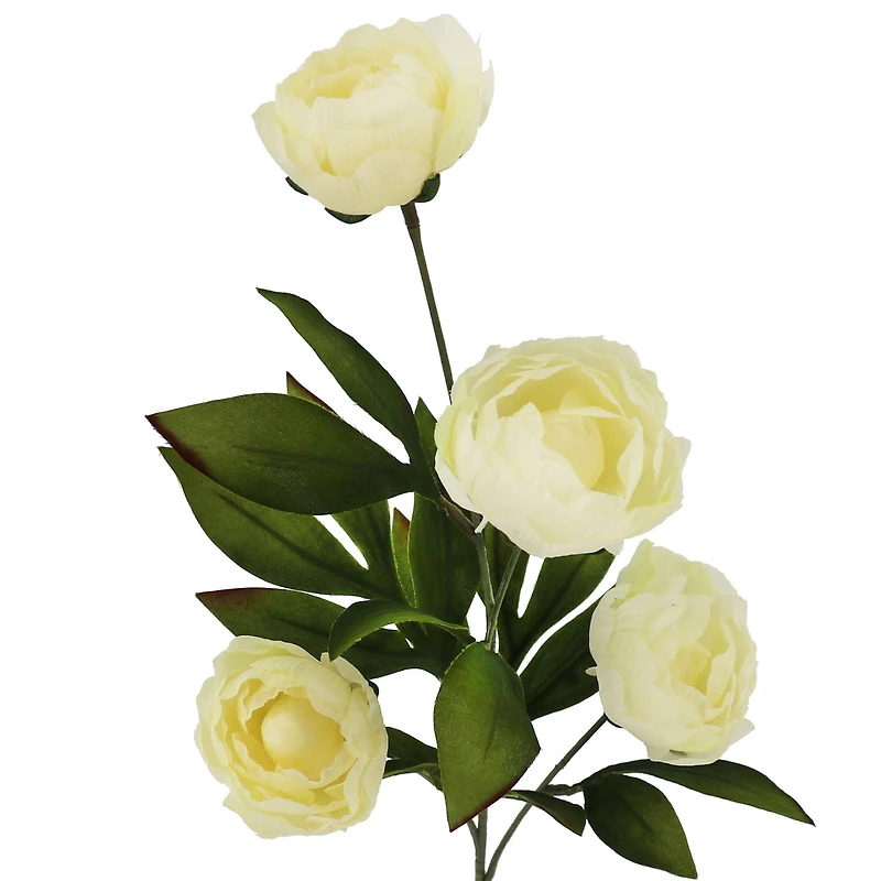 28" Cream Peony Stem by Ashland®