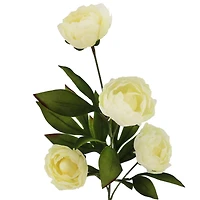 28" Cream Peony Stem by Ashland®