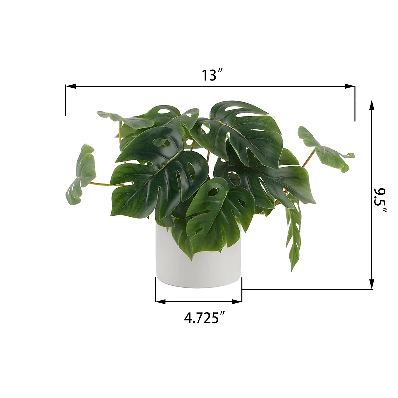 Flora Bunda® 13" Trailing Split Leaf Philodendron in White Ceramic Pot