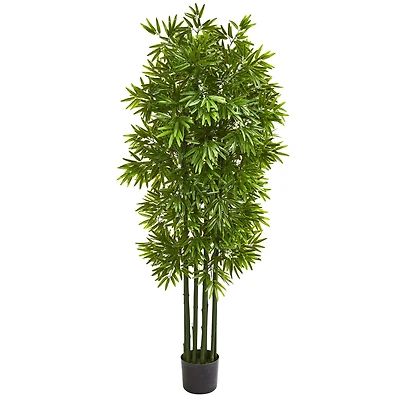 5.3ft. Potted Bamboo Tree