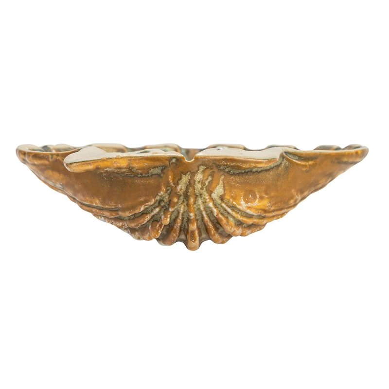 Hello Honey® 6" Sea Shell Dish with Reactive Crackle Glaze, 4ct.