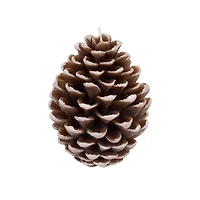 Brown Pinecone Candle by Ashland®