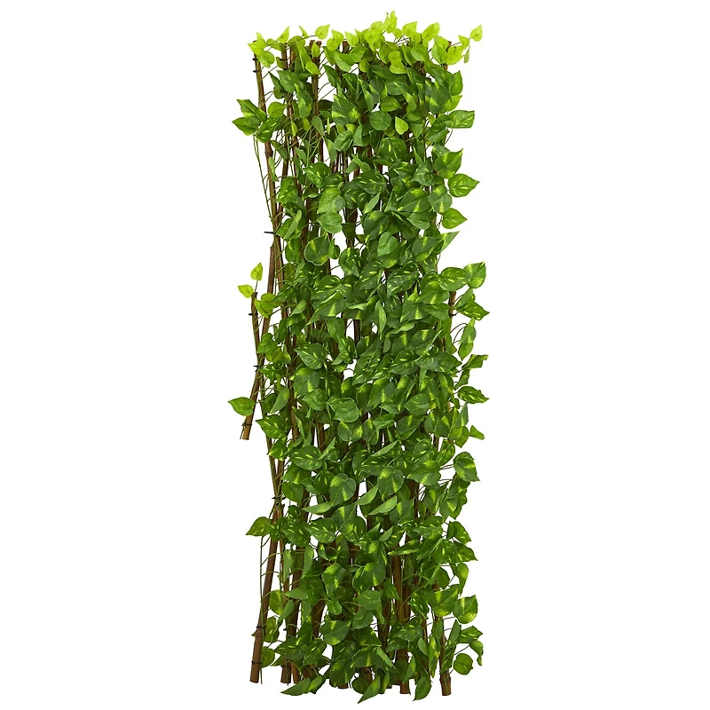4ft. Pothos Expandable Fence