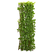 4ft. Pothos Expandable Fence