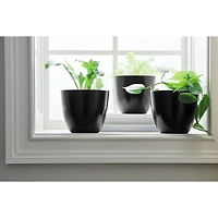 Krylon® Décor Selects Gloss Paint & Primer