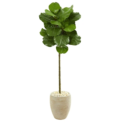 4ft. Fiddle Leaf Tree in Sand Colored Planter