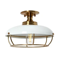 Hello Honey® 13" Wide Caged Dome Metal Semi-Flush Mount Ceiling Light
