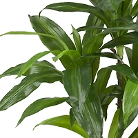 4ft. Dracaena Silk Plant 