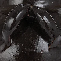 Hello Honey® 12" Black Decorative Clay Jar