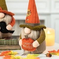 Glitzhome® 13" Fall Fabric Gnome Set