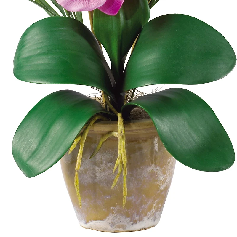 21" Moth Orchid Flower Arrangement in Ceramic Pot