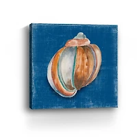 Rosecliff Shell II Canvas Giclee