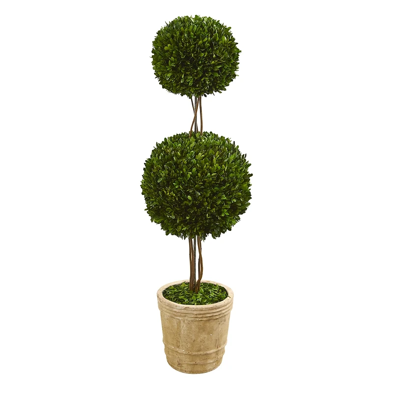 4ft. Boxwood Double Ball Topiary Tree in Planter