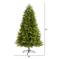 6.5ft. Pre-Lit Washington Fir Artificial Christmas Tree, Clear LED Lights