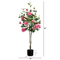 4ft. Pink Rose Tree in Black Pot