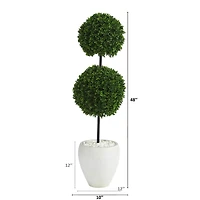 4ft. Boxwood Double Ball Topiary Tree in White Planter