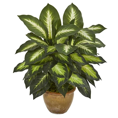 18" Dieffenbachia Tree In Ceramic Planter
