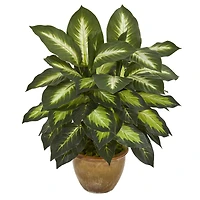 18" Dieffenbachia Tree In Ceramic Planter