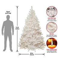 7.5 ft. Pre-Lit Winchester White Pine Full Artificial Christmas Tree, Clear Lights