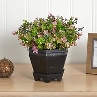 13in. Sedum & Eucalyptus Plant in Black Hexagon Planter