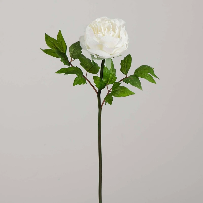 20" White Peony Flower Stems, 3ct.