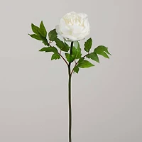 20" White Peony Flower Stems, 3ct.