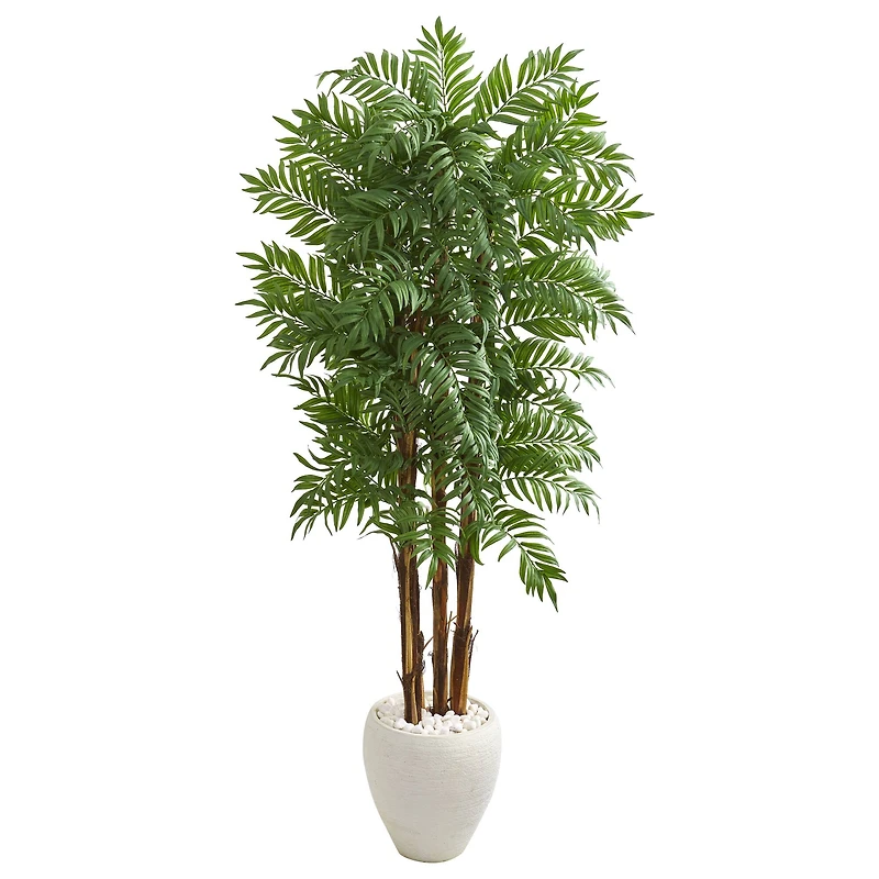 6ft. Parlor Palm Tree in White Planter