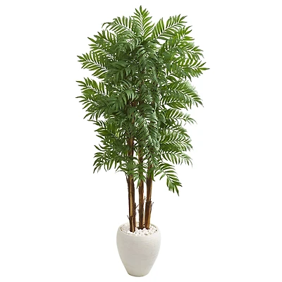 6ft. Parlor Palm Tree in White Planter