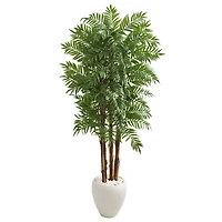 6ft. Parlor Palm Tree in White Planter