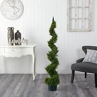 5ft. Potted Cypress Spiral Tree