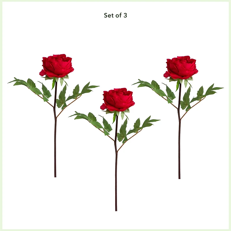 20" Red Peony Flower Stems, 3ct.