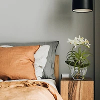 13" White Orchid & Succulent Mixed Arrangement with Glass Vase